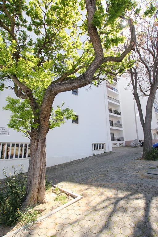 Apartament Casa Belavista - Baia Lagos Zewnętrze zdjęcie